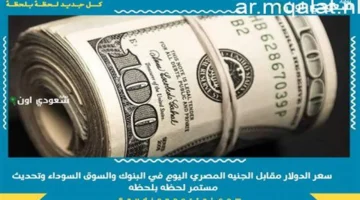 تحرك جديد بالبنوك.. سعر الدولار مقابل الجنيه المصري في تعاملات الخميس 25 ديسمبر